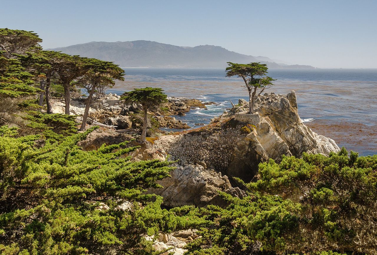 Lone Cypress, Pebble Beach